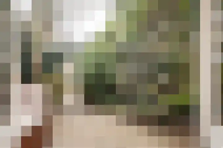 De Haasstraat 8 Haarlem thumbnail 4
