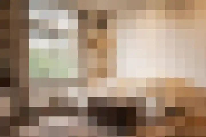 De Haasstraat 8 Haarlem thumbnail 8