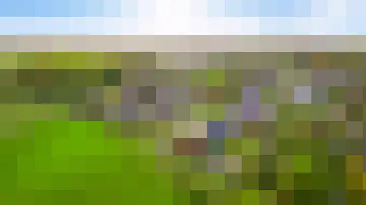 De Hackert 11 Sevenum thumbnail 14