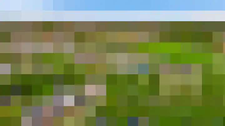 De Hackert 11 Sevenum thumbnail 16