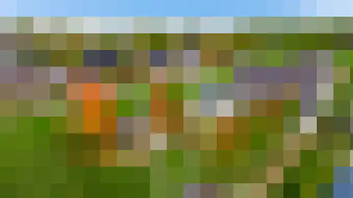 De Hackert 11 Sevenum thumbnail 17