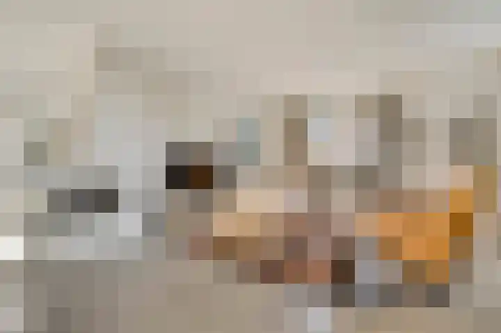 De Hackert 11 Sevenum thumbnail 36