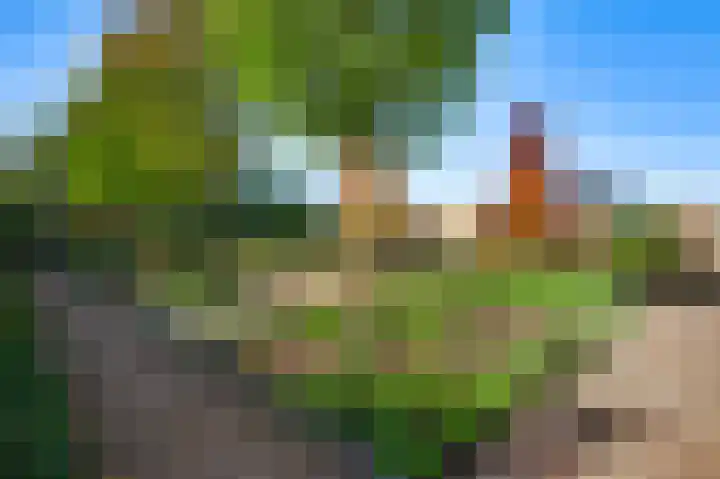De Hackert 11 Sevenum thumbnail 47