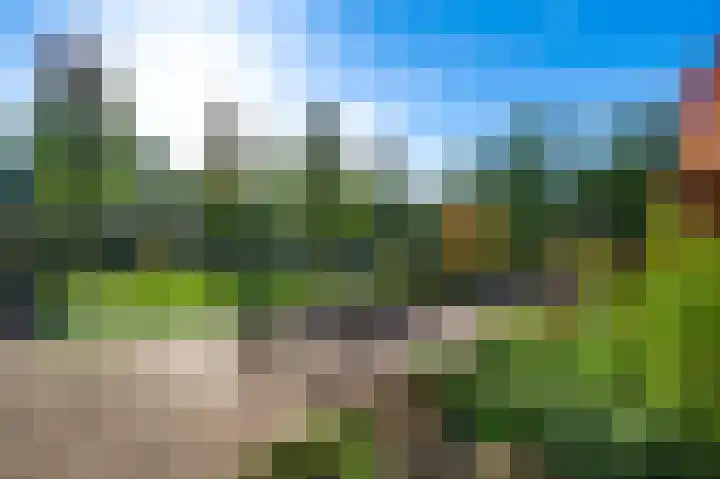 De Hackert 11 Sevenum thumbnail 48