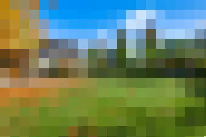 De Hackert 11 Sevenum thumbnail 52