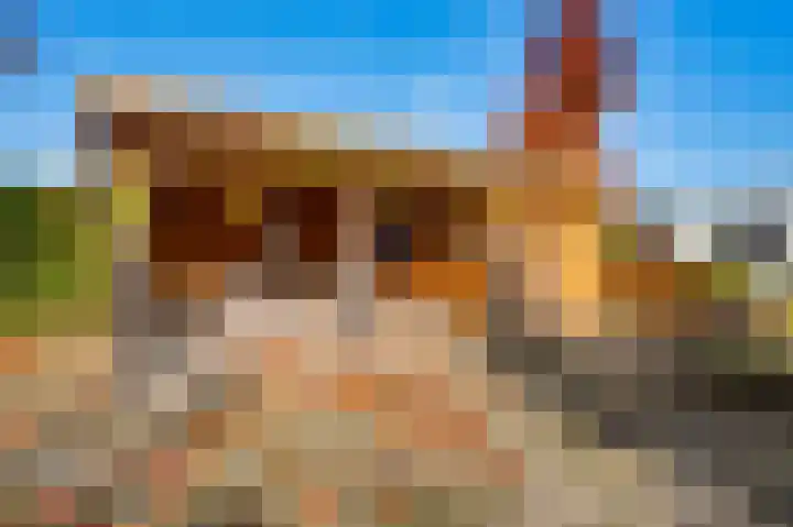 De Hackert 11 Sevenum thumbnail 53