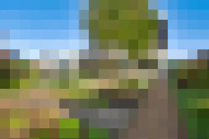 De Hackert 11 Sevenum thumbnail 54