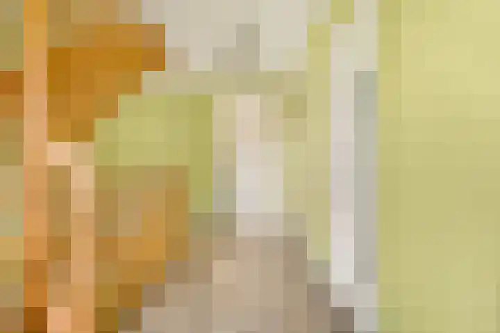 De Hackert 11 Sevenum thumbnail 56