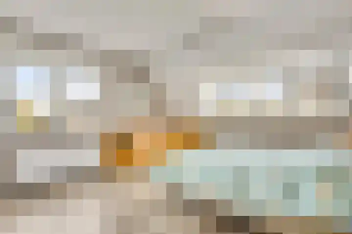 De Hackert 11 Sevenum thumbnail 57
