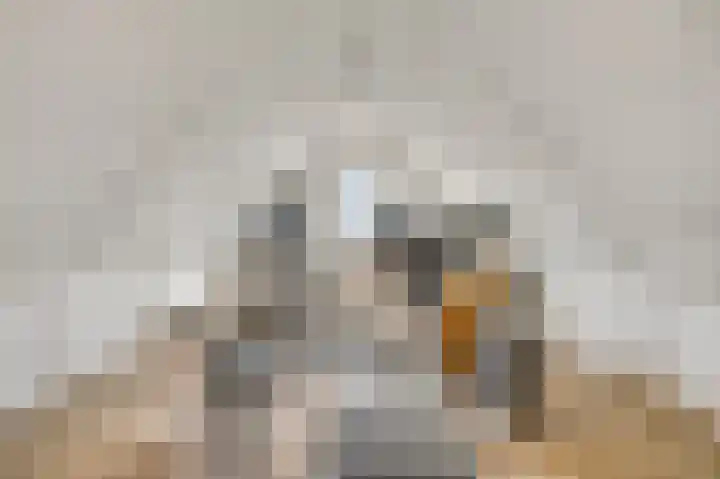 De Hackert 11 Sevenum thumbnail 69