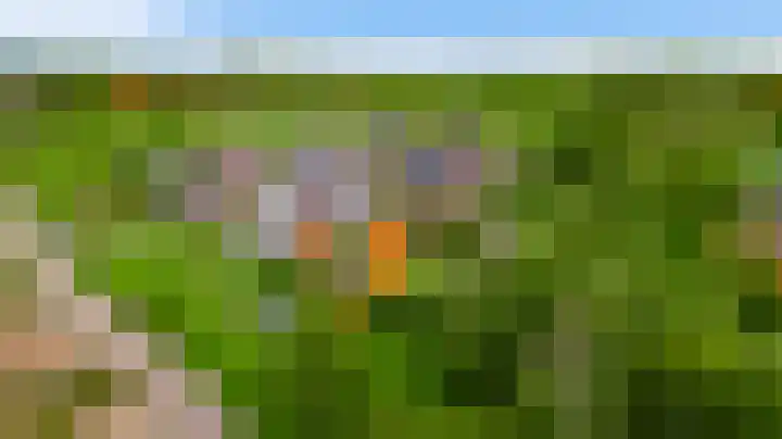 De Hackert 11 Sevenum thumbnail 7