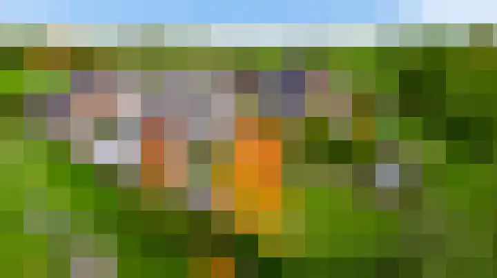 De Hackert 11 Sevenum thumbnail 8