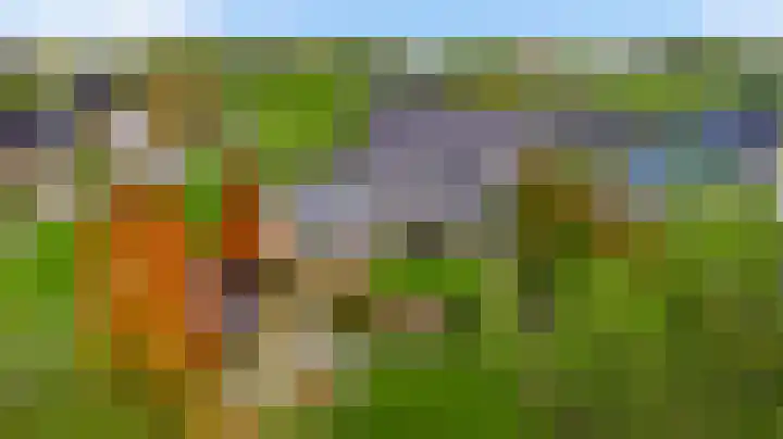 De Hackert 11 Sevenum thumbnail 9