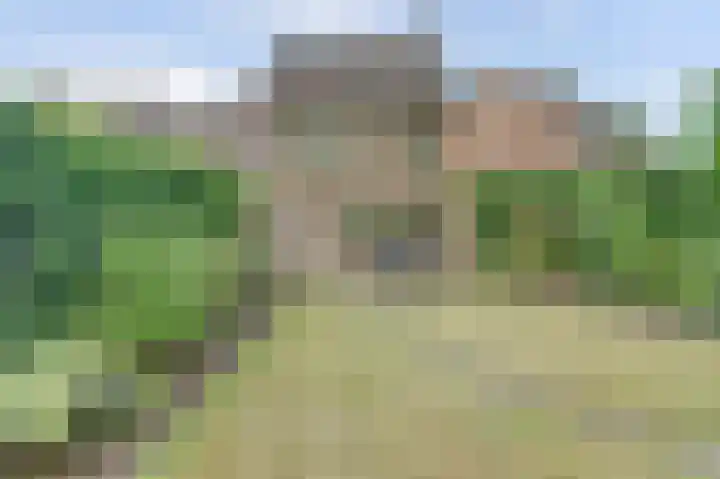 De Haecken 52 Bladel thumbnail 37
