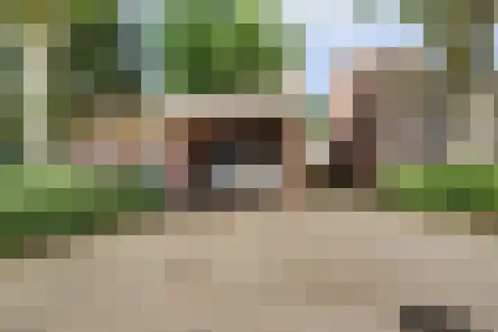 De Haecken 52 Bladel thumbnail 41