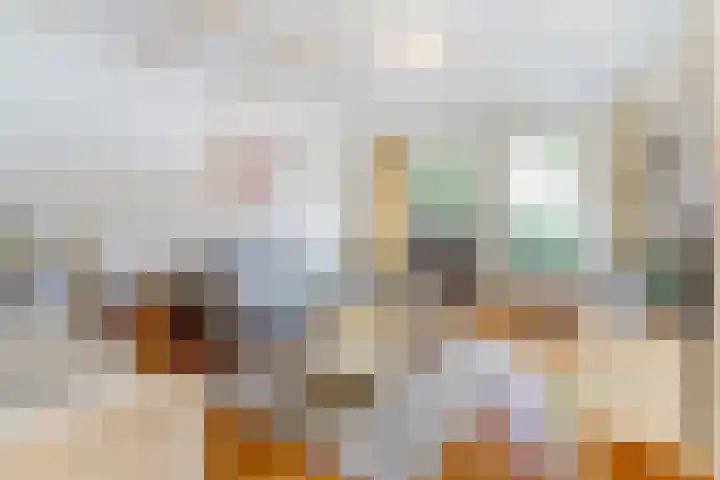 De Haecken 52 Bladel thumbnail 7