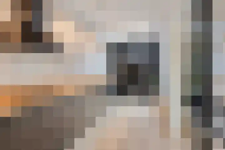 de Haere 18 Heerde thumbnail 11