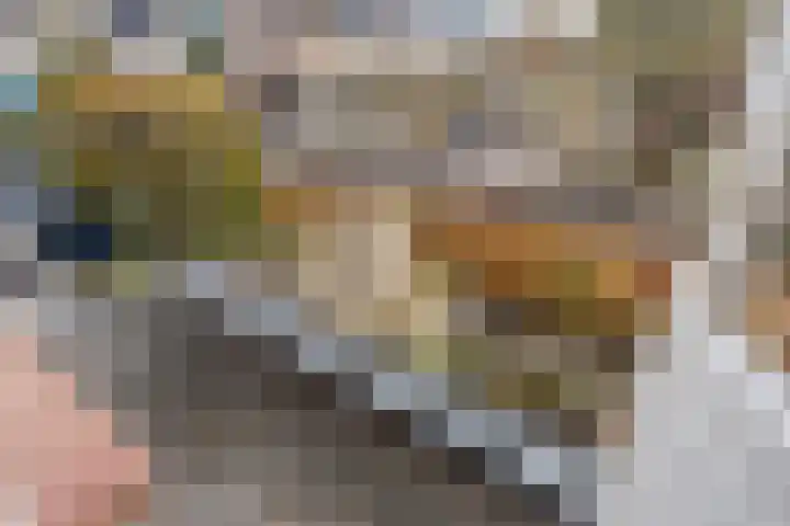 de Haere 18 Heerde thumbnail 25