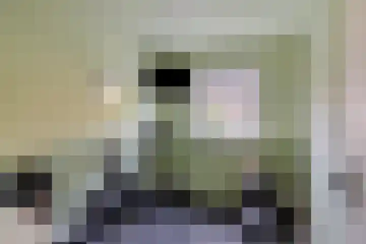 de Haere 18 Heerde thumbnail 27