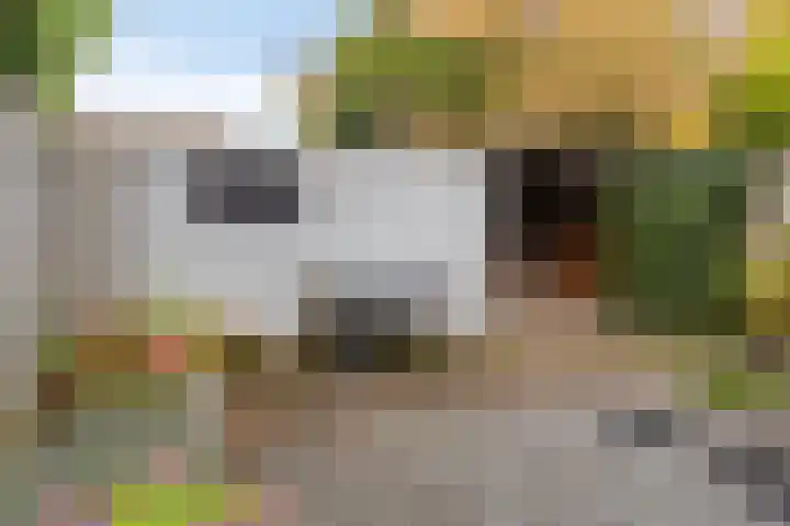 de Haere 18 Heerde thumbnail 38