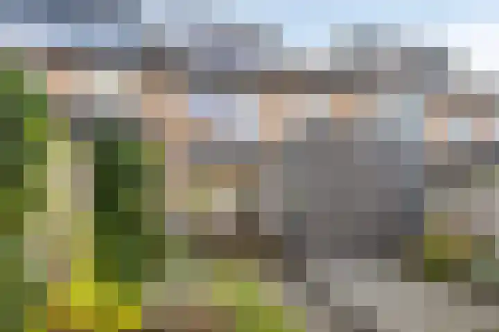 de Haere 18 Heerde thumbnail 39