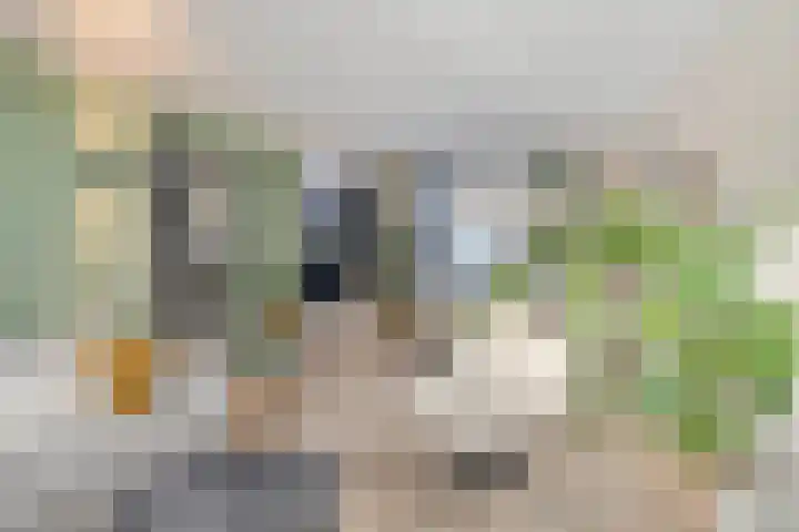 de Haere 18 Heerde thumbnail 4
