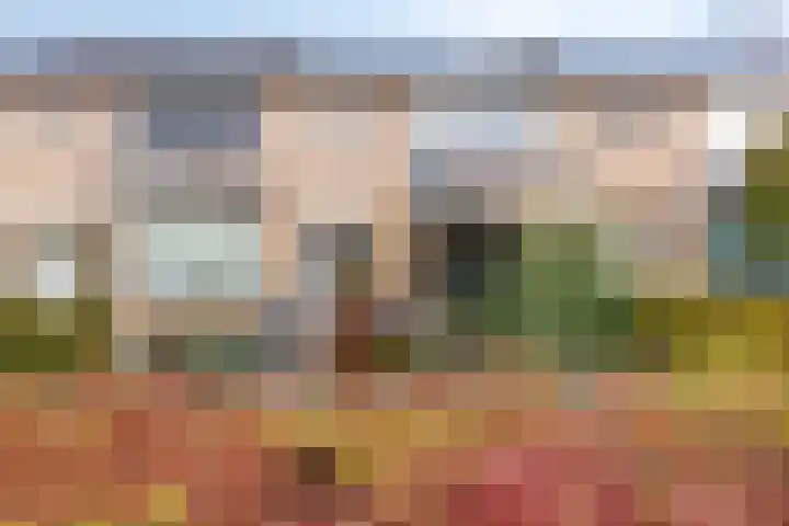 de Haere 18 Heerde thumbnail 42