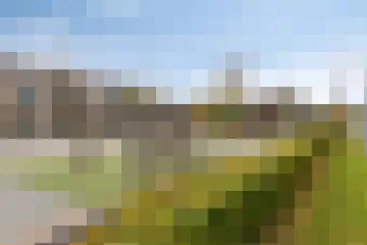 de Haere 18 Heerde thumbnail 44