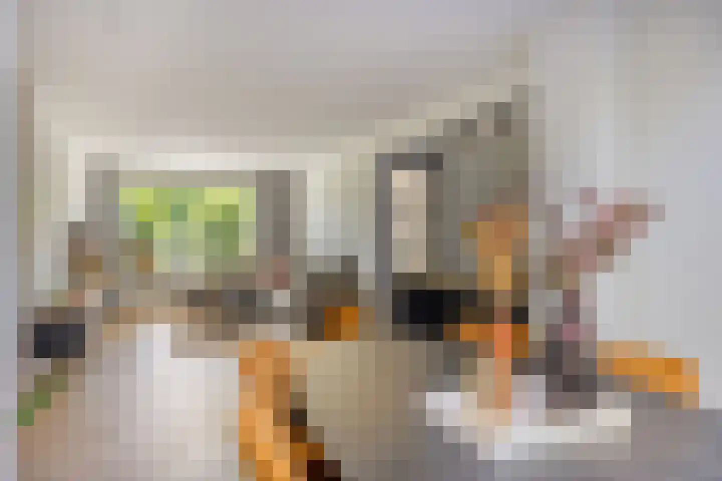 de Haere 22 Heerde thumbnail 14