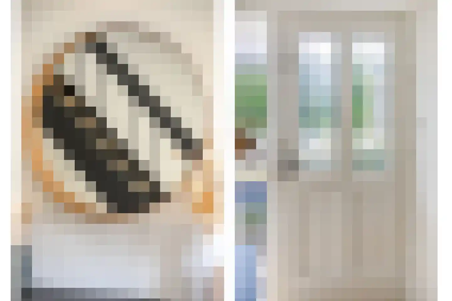de Haere 22 Heerde thumbnail 18