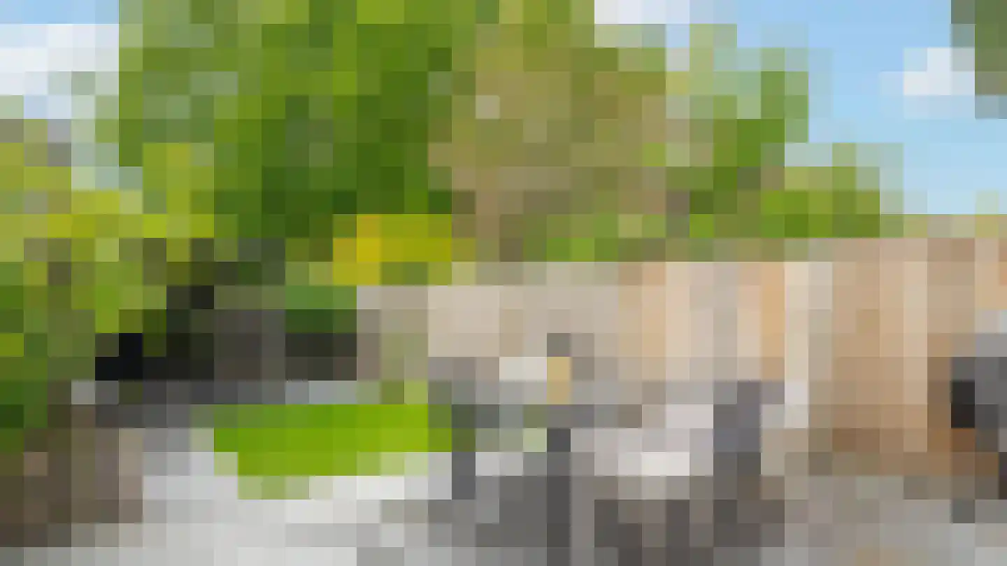 De Haere 40 Almelo thumbnail 31