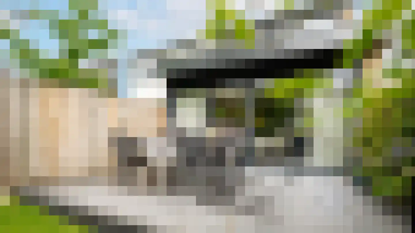 De Haere 40 Almelo thumbnail 6
