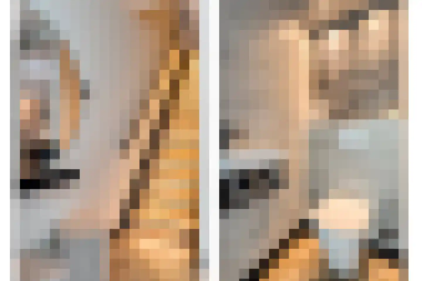 De Haere 42 Almelo thumbnail 10