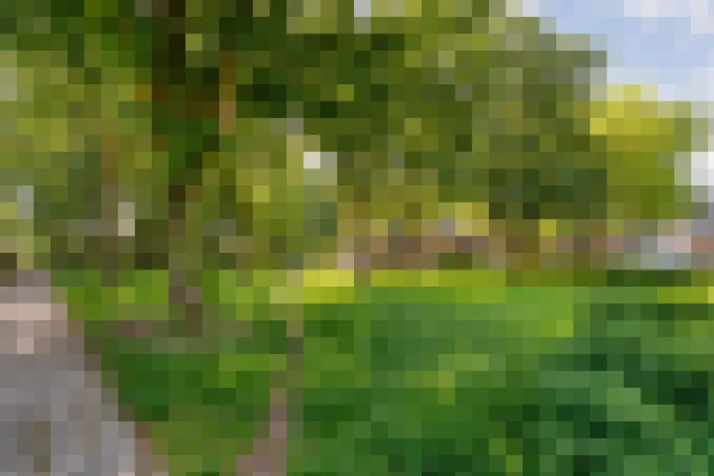 De Haere 42 Almelo thumbnail 70