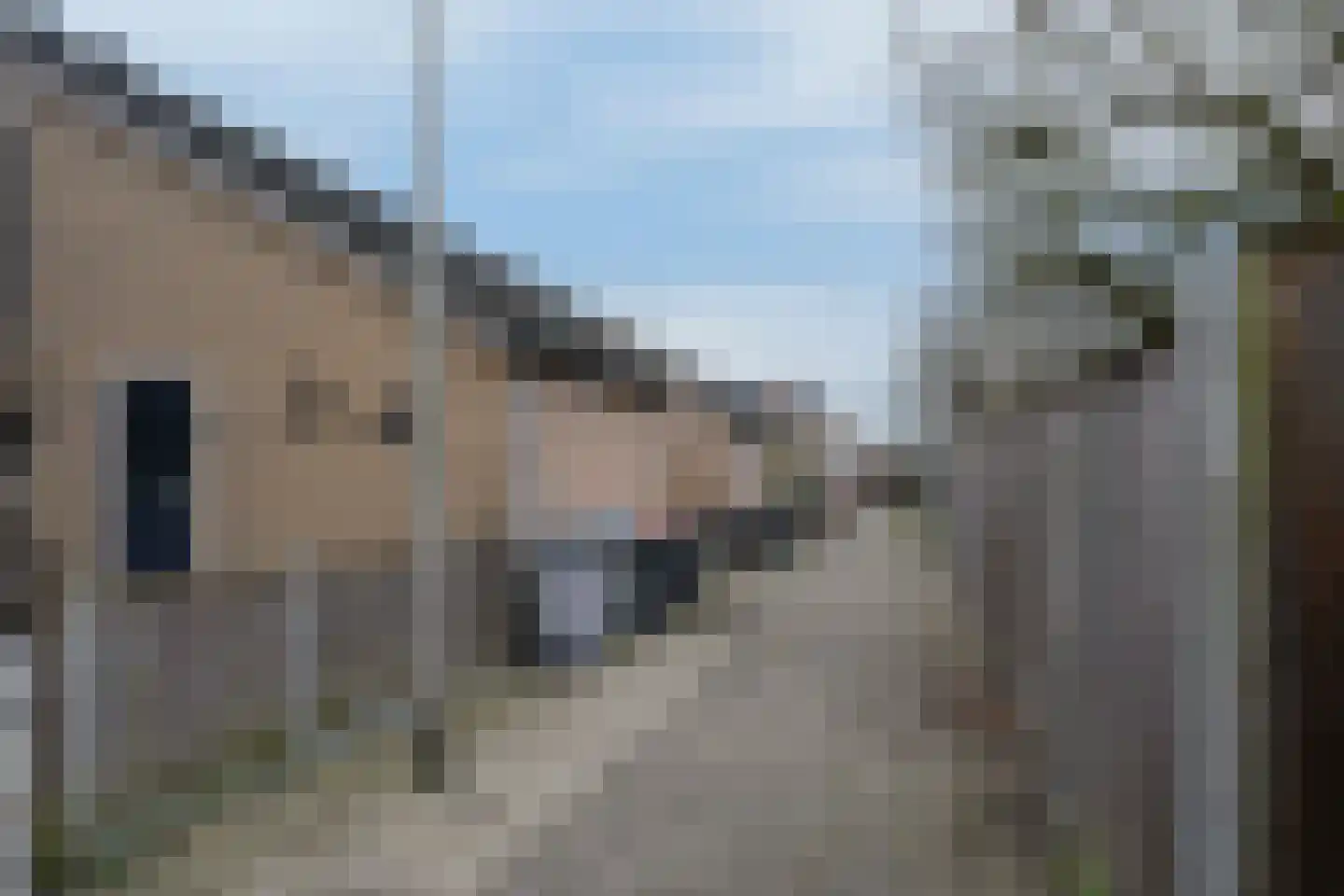 De Haere 7 Almelo thumbnail 23