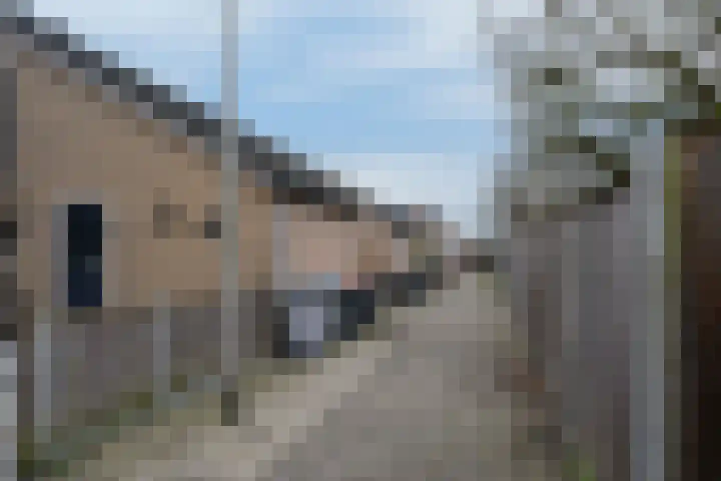 De Haere 7 Almelo thumbnail 27