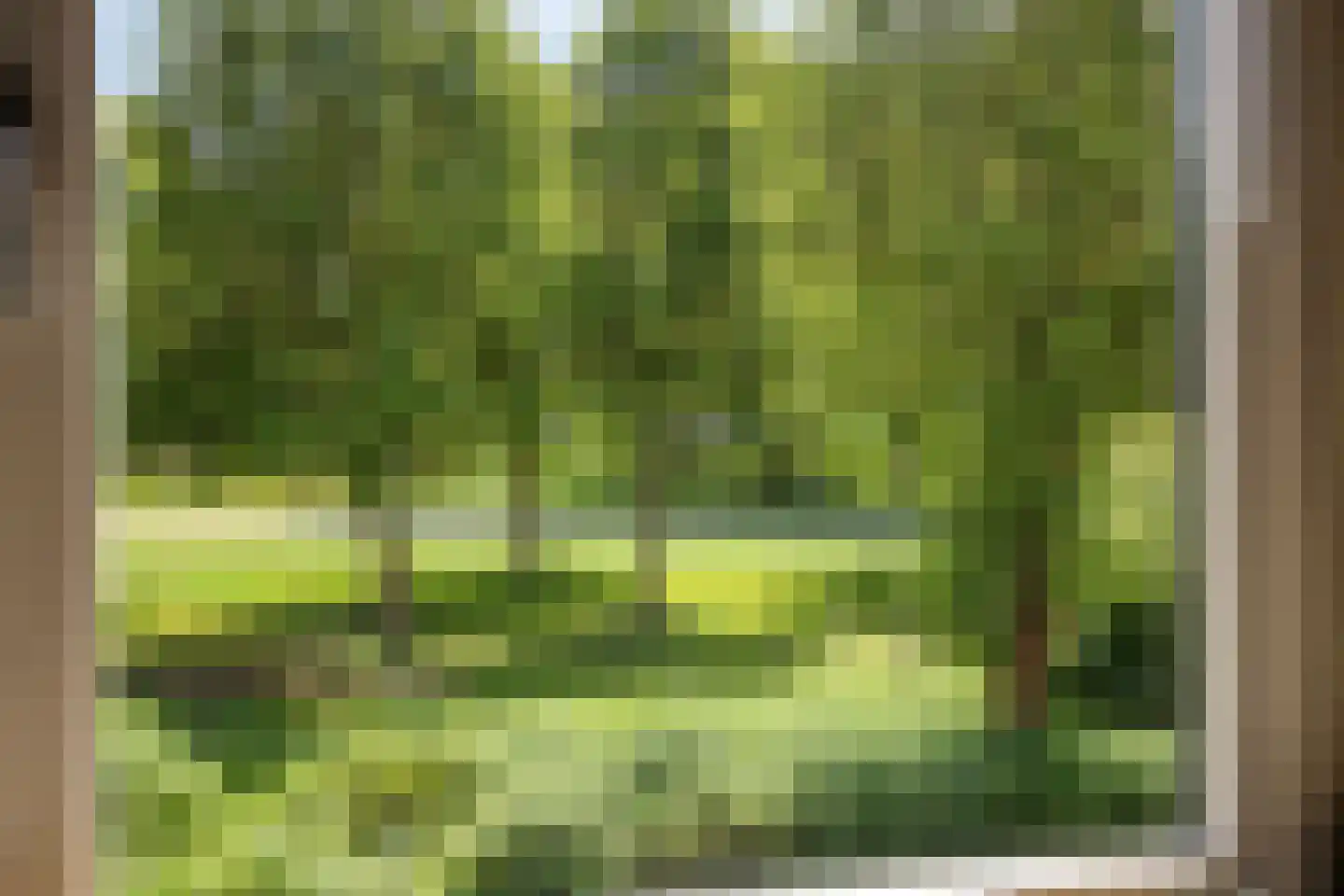 De Haflinger 40 Dronten thumbnail 33