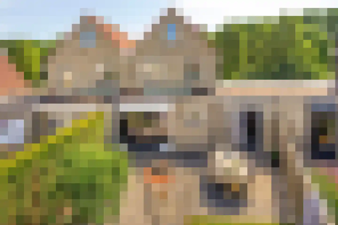 De Haflinger 40 Dronten thumbnail 45