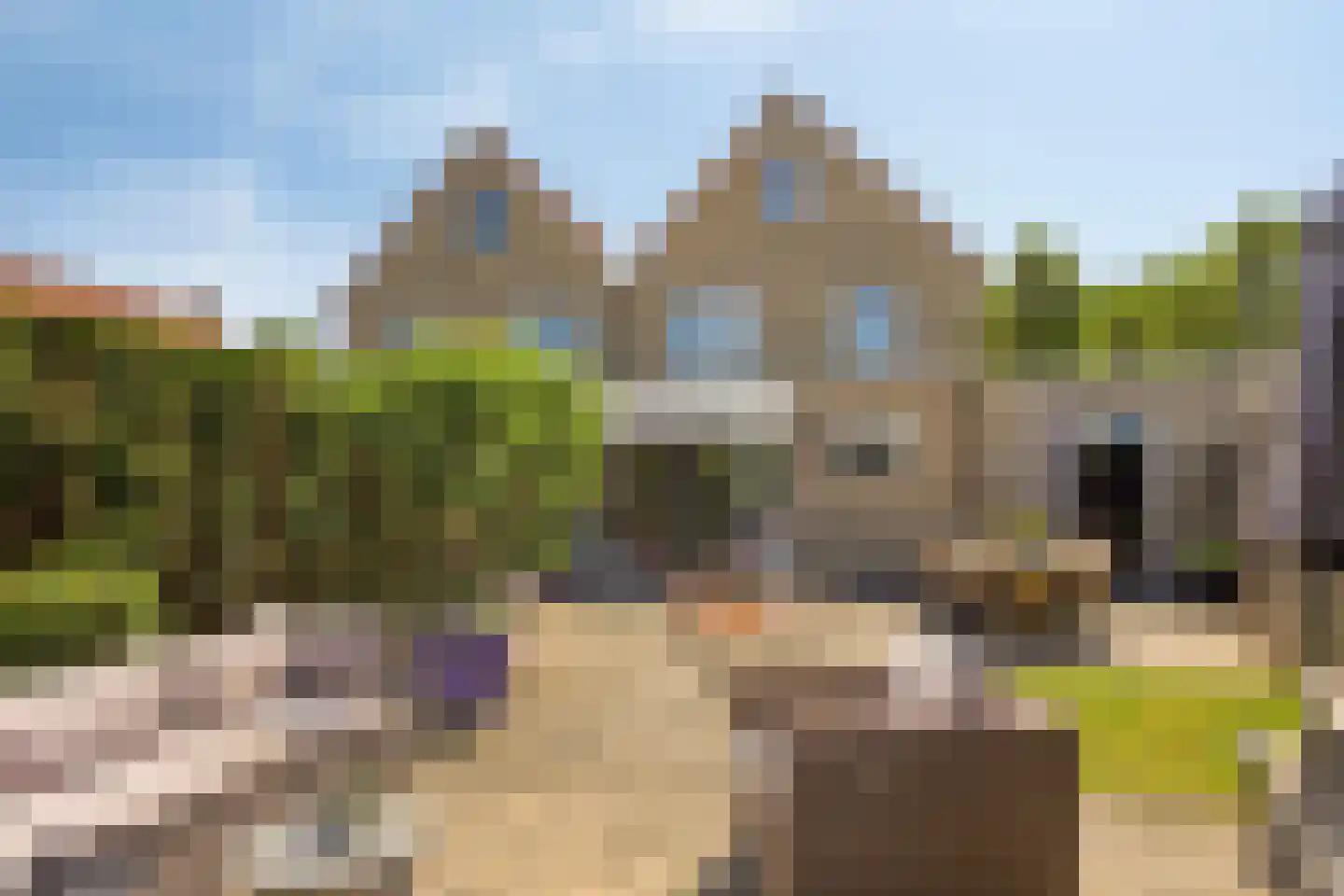De Haflinger 40 Dronten thumbnail 46