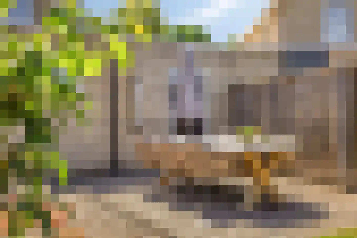 De Haflinger 40 Dronten thumbnail 47