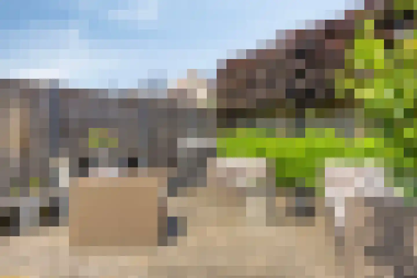 De Haflinger 40 Dronten thumbnail 48