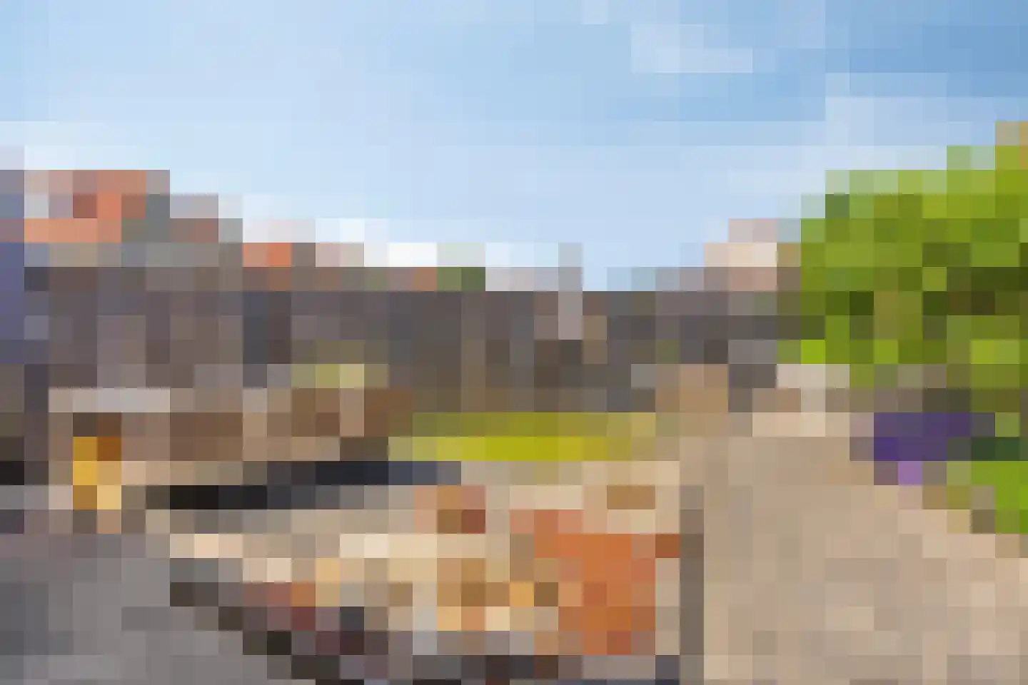 De Haflinger 40 Dronten thumbnail 50