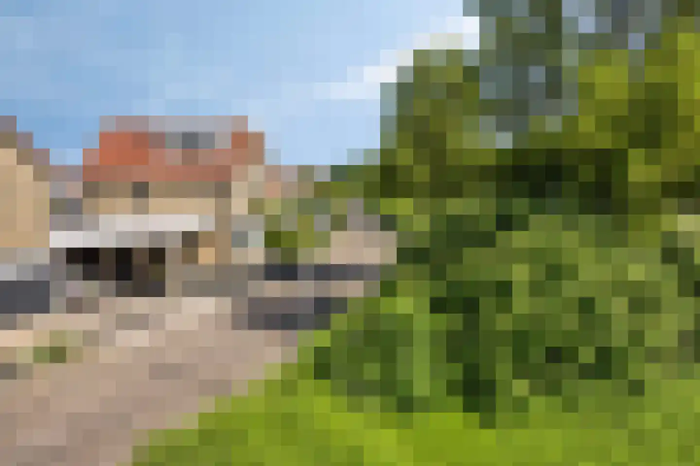De Haflinger 40 Dronten thumbnail 54