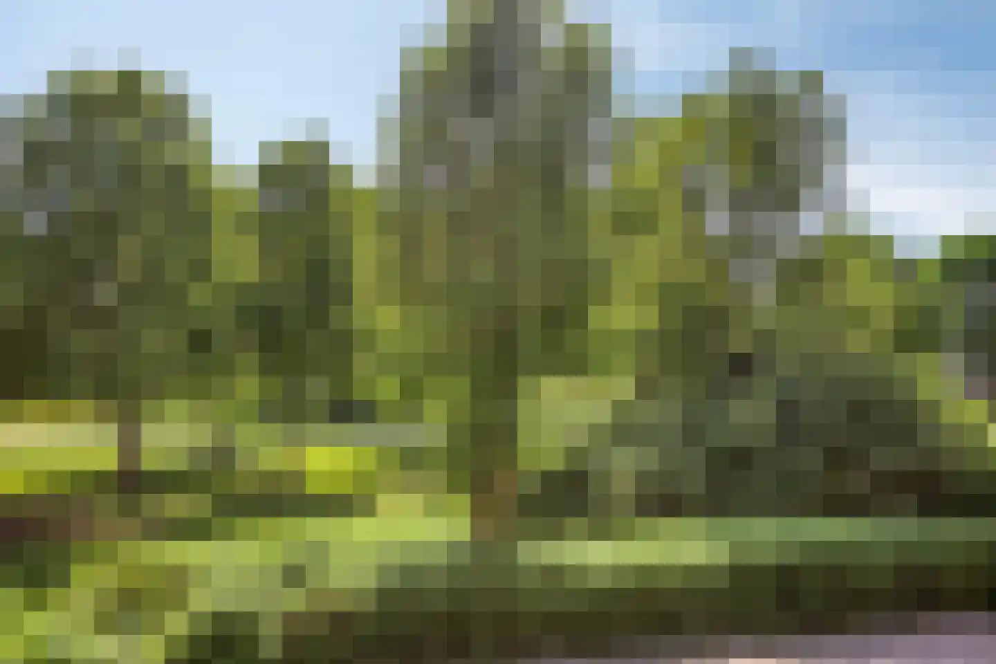 De Haflinger 40 Dronten thumbnail 55