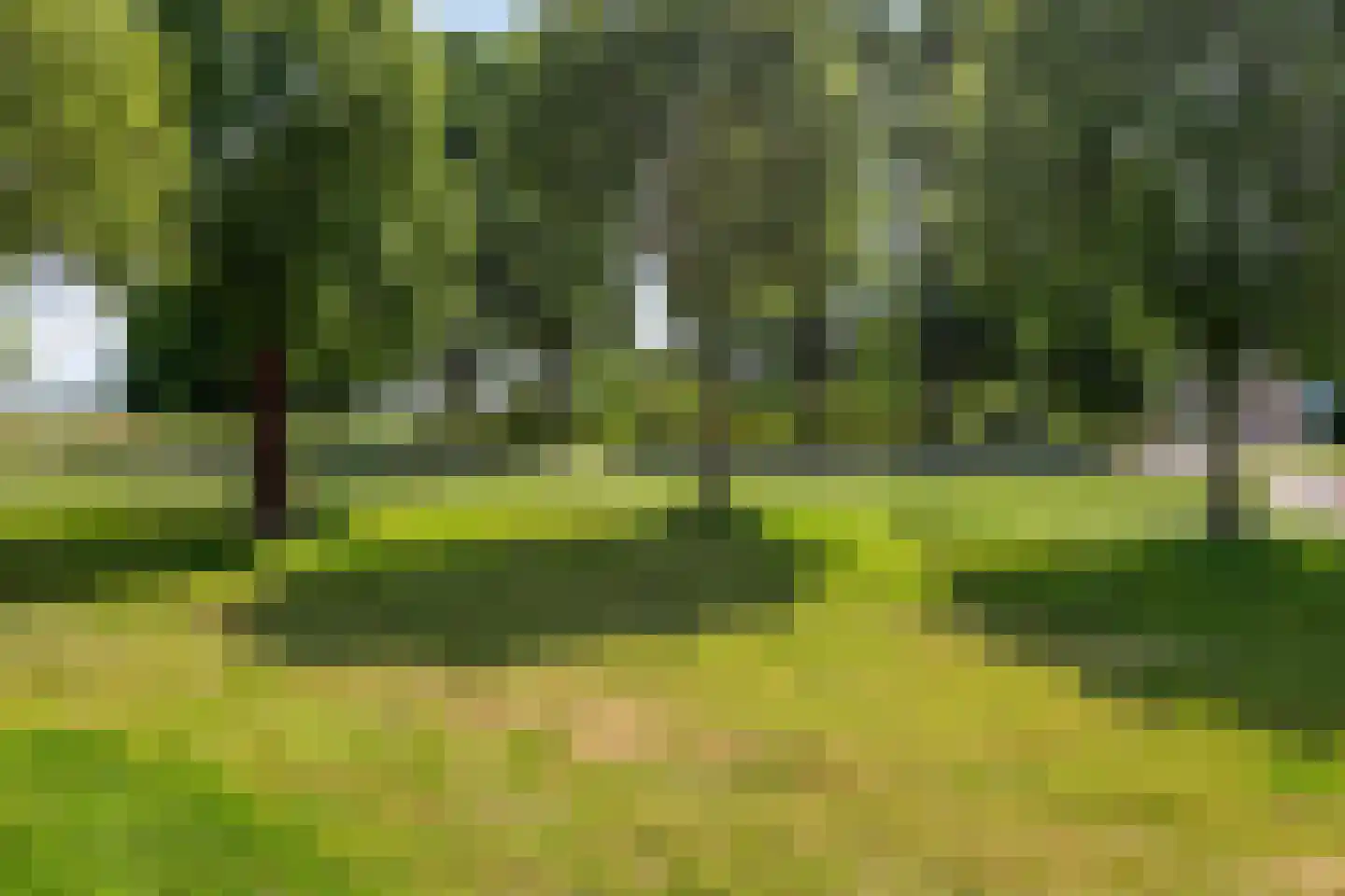 De Haflinger 40 Dronten thumbnail 57
