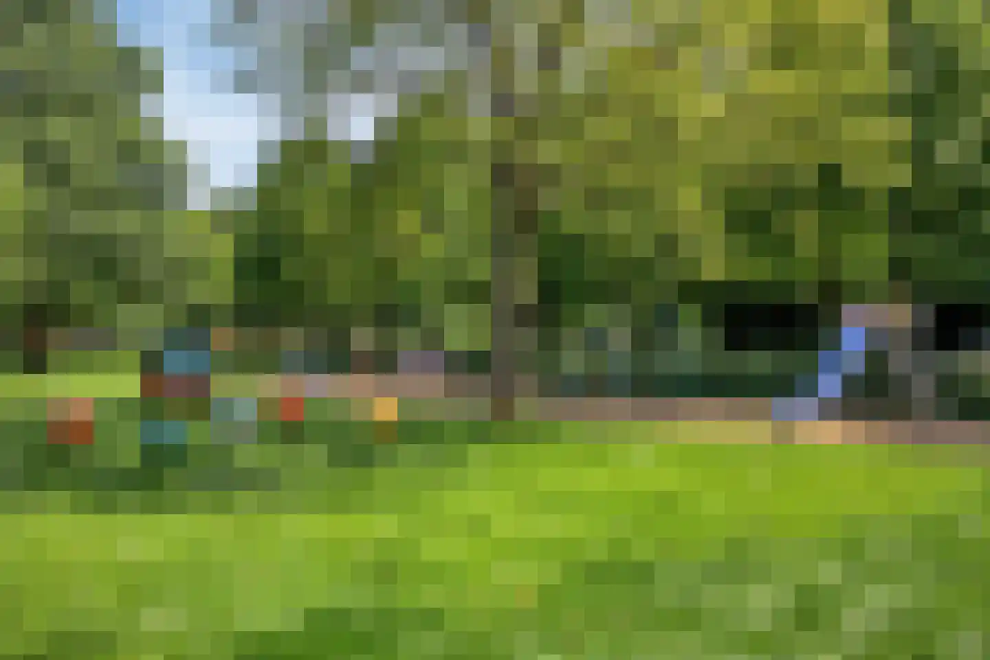 De Haflinger 40 Dronten thumbnail 58