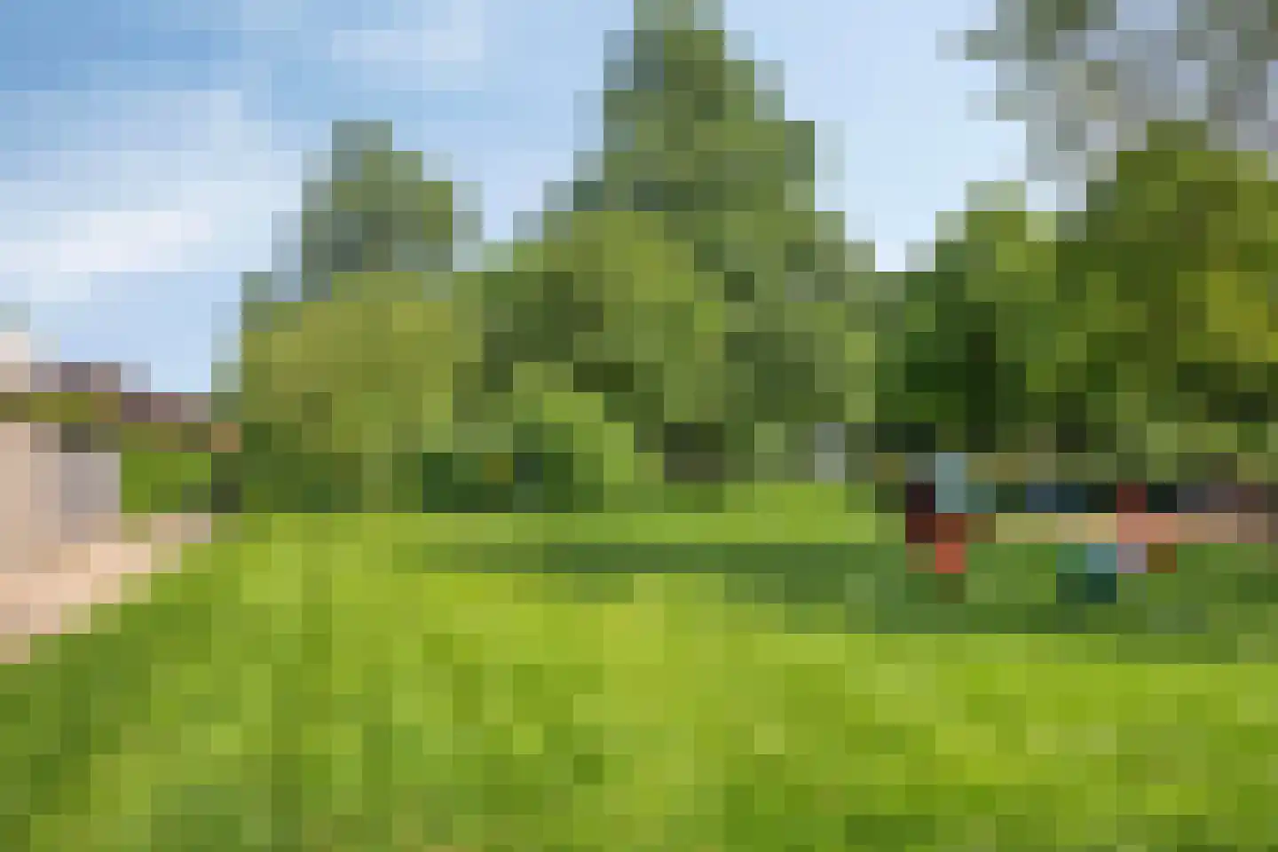 De Haflinger 40 Dronten thumbnail 59