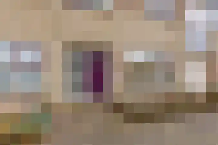 De Hage 26 Drachten thumbnail 8