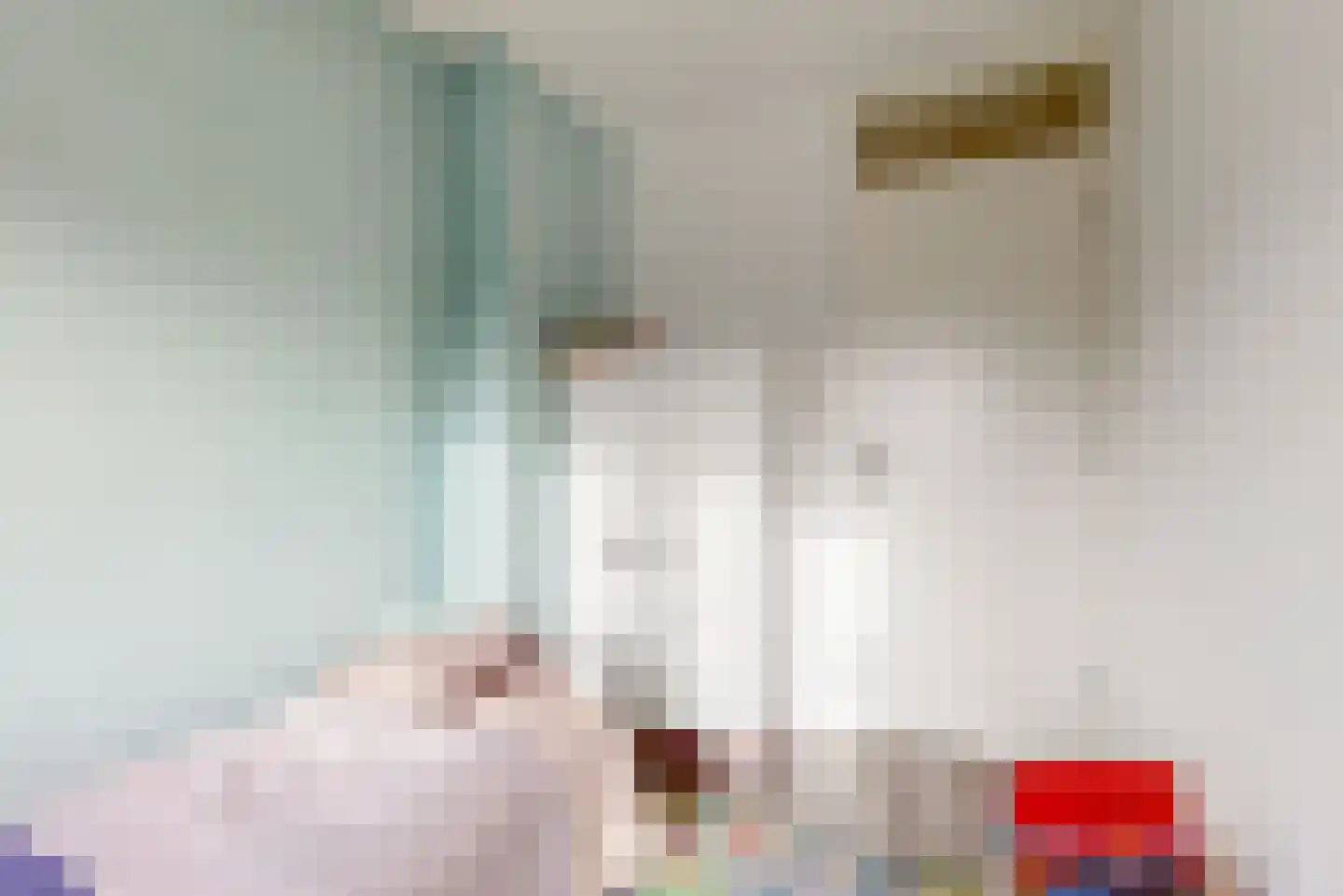 De Hagedisstraat 10 Velsen-Noord thumbnail 14