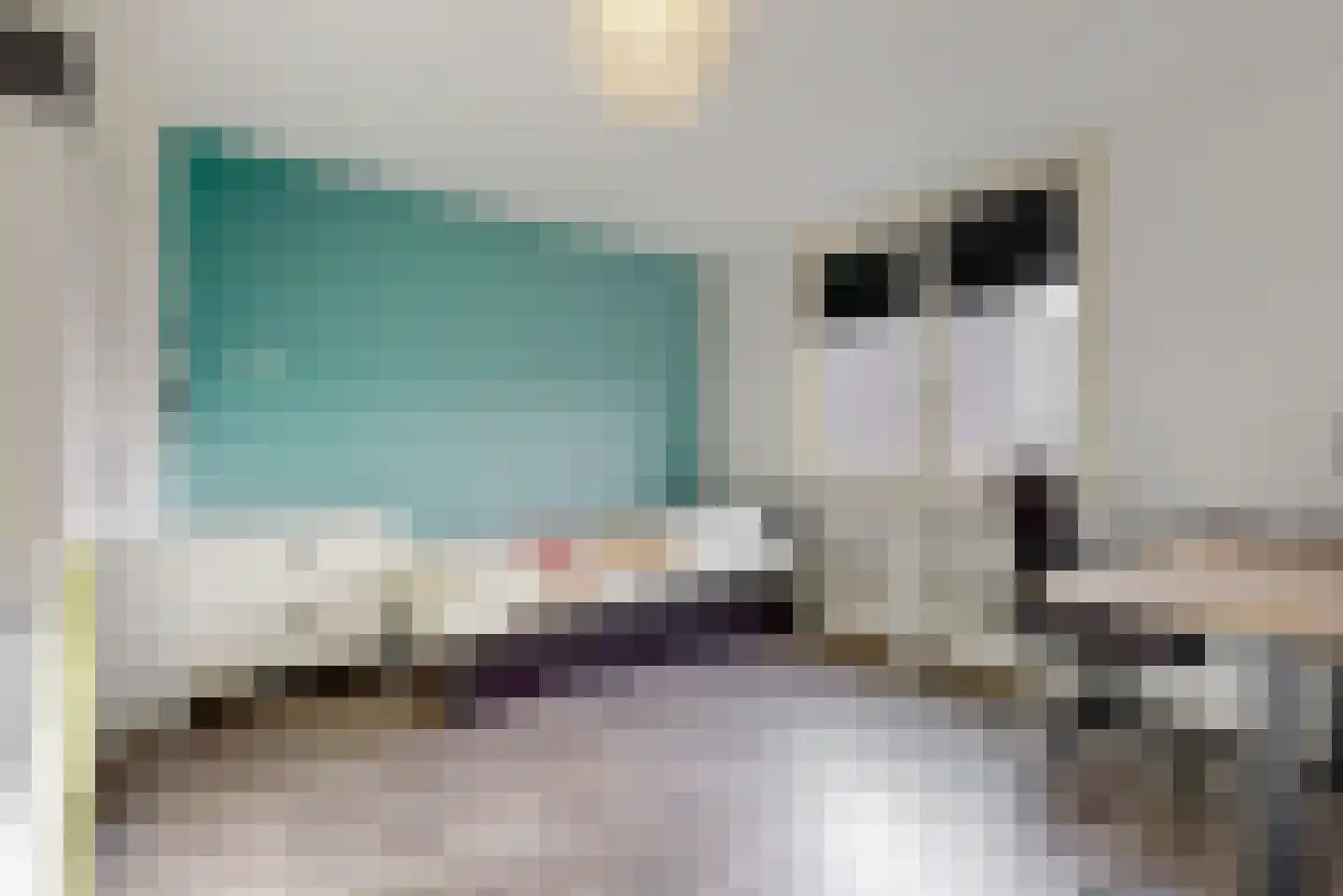 De Hagedisstraat 10 Velsen-Noord thumbnail 15